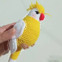 انواع بافتنی عروسک و طوطی
