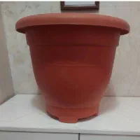 ظروف پلاستیک نوو درحدنو
