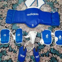 هوگو و لوازم مبارزه تکواندو