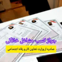 صدور جواز کسب مشاغل خانگی برای تمام شهرها روستاها