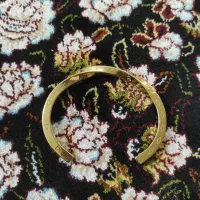 دستبند معاوضه با پرنده