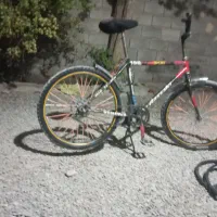 دوچرخه 24تنه آساک