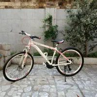 دوچرخه اوپتیما