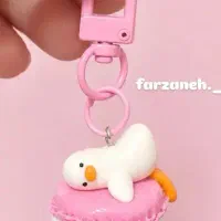 هولدر
