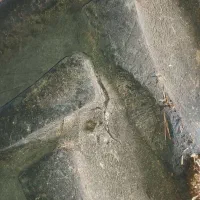 تراکتور لاستیک بزرگ|خودرو سنگین|گیلان غرب, |دیوار