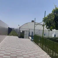 گلخانه خانه باغ|فروش دفتر صنعتی، کشاورزی، تجاری|قرچک, |دیوار