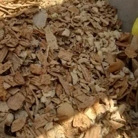 نون خشک فرداعلاتمیز|لوازم جانبی حیوانات|رضویه, |دیوار