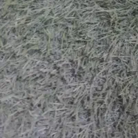 فرش ۴متری|فرش|تهران, عباسی|دیوار