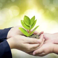 راهنمایی می خوام برای ارتقا شغلم وکیل هستم