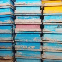 تبق خالی استاندارد