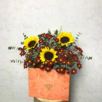 گل ارایی پول ارایی شیک اقتصادی