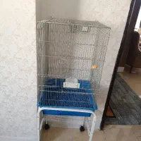 فروش قفس