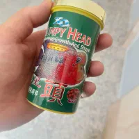 هامپی هد فلاور هورن