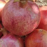 فروش انار درجه یک|خوردنی و آشامیدنی|کوهنانی, |دیوار