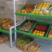 استند میوه و یخچال ویترینی|فروشگاه و مغازه|ماسال, |دیوار