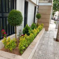 خدمات کاشت و باغبانی|خدمات باغبانی و درختکاری|اصفهان, پروین|دیوار