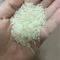 برنج صدری خوشپخت