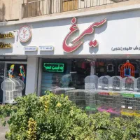 استخدام نیروی کار آقا در پرنده فروشی