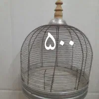 قفس طرقه و قناری