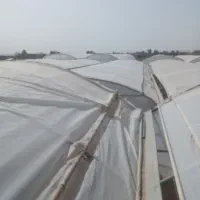 نصب وتعمیرات انواع گلخانه های جوشی وپیچ مهره ی|خدمات پیشه و مهارت|کاشان, شهرک صنعتی راوند|دیوار