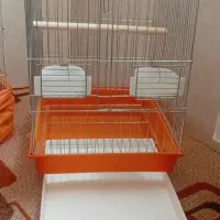 قفس  انواع طوطی سانان کوچک ومتوسط جثه