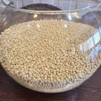 گوگردمعدنی ارگانیک گرانول و پودری مستقیم از معدن|خدمات باغبانی و درختکاری|اندیمشک, |دیوار