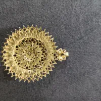 200|جواهرات|دزفول, |دیوار