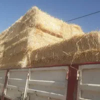 پرس کاه گندم بزرگ|حیوانات مزرعه|ورزنه, |دیوار