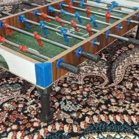 فوتبال دستی|ورزش‌های توپی|سنندج, |دیوار