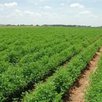 زمین کشاورزی و زمین تجاری