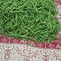 لوبیاقصری یالوبیاچشم بلبلی