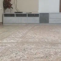 زیر تلوزیون اپل