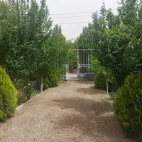 باغچه-1000-متری-در-فیروزبهرام