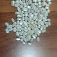 مرواریدپرورشی