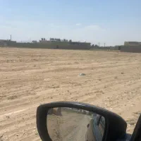 زمین-سند-تک-برگ