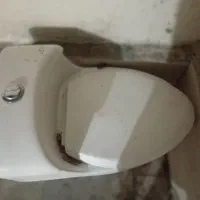 سینگ توالت‌ فرنگی