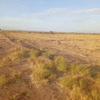 زمین ویلایی ۱۰۷۰ متر با سهم آب|فروش زمین و ملک کلنگی|ایلخچی, |دیوار