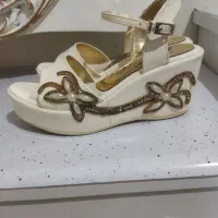 کفش‌مجلسی‌250تومان|کیف، کفش، کمربند|میانه, |دیوار