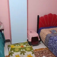 تخت دو طبقه|تخت و سرویس خواب|شهریار, شهرک وائین|دیوار