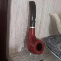 پیپ برایر اروپائی بیک بن هلندی