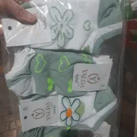 جوراب|لباس|اصفهان, باغ زرشک|دیوار