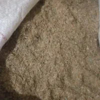 گزو