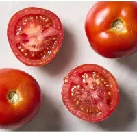 گوجه محلی ارگانیک بدون هیچ سمی به شرط