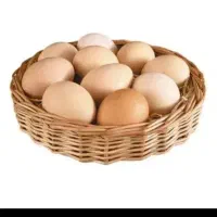 تخم مرغ محلی ونطفه دار مدل مرندی وگلپایگان تضمینی