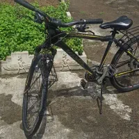 دوچرخه 26 ویوا اصلی