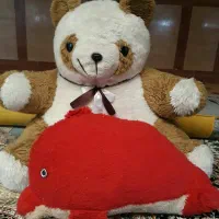 اسباب بازی|اسباببازی بچه|شیراز, شهرک پرواز|دیوار