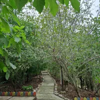 اجاره روزانه/هفتگی/ماهانه ویلا ۱۲۰۰ متری|اجارهٔ کوتاهمدت ویلا و باغ|مینودشت, |دیوار