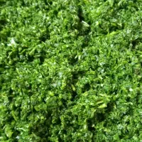 ترش واش باغ چای وسبزی خورد شده|حراج|لنگرود, |دیوار