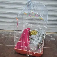 کلکسیونی معاوضه با انگشتر|جواهرات|اردبیل, |دیوار