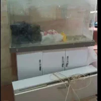 آکواریوم شیشه خم بزرگ